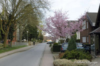 Begau, Ehrenstraße, Foto-Nr. 23, 10.04.2009