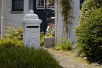 Begau, Gartenstraße, Foto-Nr. 13, 04.07.2009