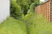 Begau, Gartenstraße, Foto-Nr. 15, 04.07.2009<br />der "Wardener-Bach"