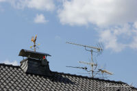 Begau, Hermann-Löns-Straße, Foto-Nr. 9, 01.06.2009