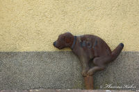 Begau, Michaelstraße, Foto-Nr. 5, 04.07.2009