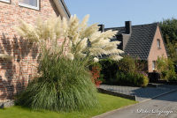 Begau, Pützbruchstraße, Foto-Nr. 7, 22.09.2007