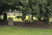 Begau, Pützbruchstraße, Foto-Nr. 16, 14.03.2009<br />Alter Judenfriedhof