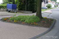 Begau, Pützbruchstraße, Foto-Nr. 8, 01.06.2009<br />Bürger pflegen ihr Umfeld