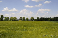 Begau, Randstraße, Foto-Nr. 3, 01.06.2009<br />Blick von der Randstraße