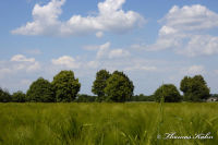 Begau, Randstraße, Foto-Nr. 4, 01.06.2009<br />Blick von der Randstraße