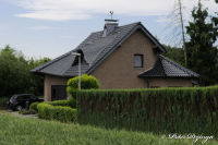 Begau, Randstraße, Foto-Nr. 10, 14.06.2009
