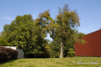 Bettendorf, An der Kirche, Foto-Nr. 5, 27.09.2009