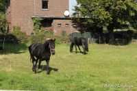 Bettendorf, Baesweilerstraße, Foto-Nr. 17, 27.09.2009