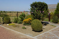 Bettendorf, Flurweg, Foto-Nr. 5, 15.08.2009