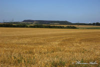 Bettendorf, Flurweg, Foto-Nr. 8, 15.08.2009<br />Blick von Bettendorf in Richtung Baesweiler