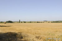 Bettendorf, Flurweg, Foto-Nr. 9, 15.08.2009<br />Blick von Bettendorf in Richtung Baesweiler