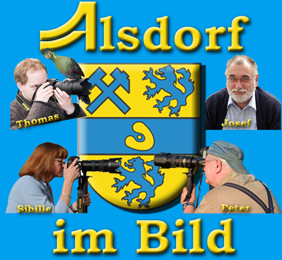 Foto der Mitstreiter