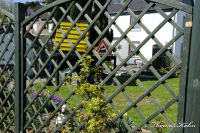 Blumenrath, Adolf-Kolping-Straße, Foto-Nr. 18, 18.04.2010