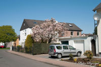 Blumenrath, Adolf-Kolping-Straße, Foto-Nr. 13, 18.04.2010