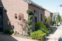 Blumenrath, Adolf-Kolping-Straße, Foto-Nr. 23, 18.04.2010