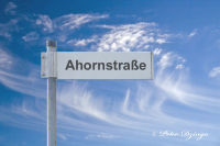 Blumenrath, Ahornstraße, Foto-Nr. 2