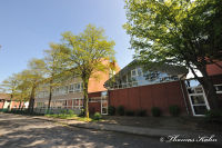 Blumenrath, Albert-Schweitzer-Straße, Foto-Nr. 16, 23.05.2010