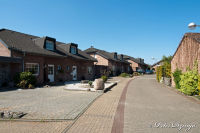 Blumenrath, Am Rodelberg, Foto-Nr. 8, 18.04.2010