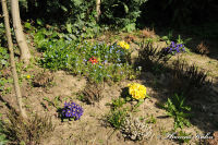 Blumenrath, An der Burgmaar, Foto-Nr. 5, 17.04.2010