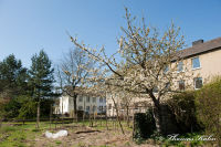 Blumenrath, Bachstraße, Foto-Nr. 5, 18.04.2010