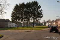 Blumenrath, Bachstraße, Foto-Nr. 9, 15.03.2012