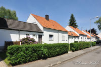 Blumenrath, Birkenhof, Foto-Nr. 4, 22.05.2010