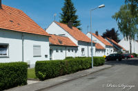 Blumenrath, Birkenhof, Foto-Nr. 3, 22.05.2010