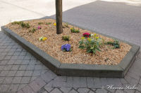 Blumenrath, Blumenrather Straße, Foto-Nr. 32, 17.04.2010
