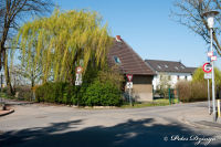 Blumenrath, Blumenrather Straße, Foto-Nr. 5, 17.04.2010