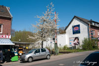 Blumenrath, Blumenrather Straße, Foto-Nr. 69, 17.04.2010