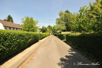 Blumenrath, Holunderstraße, Foto-Nr. 3, 22.05.2010
