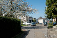 Blumenrath, Industriestraße, Foto-Nr. 13, 17.04.2010