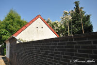 Blumenrath, Max-Reger-Straße, Foto-Nr. 4, 23.05.2010