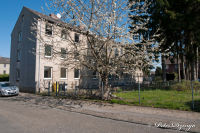 Blumenrath, Mozartstraße, Foto-Nr. 4, 18.04.2010