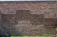 Blumenrath, Pestalozzistraße, Foto-Nr. 16, 22.05.2010