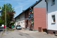 Blumenrath, Pestalozzistraße, Foto-Nr. 38, 22.05.2010