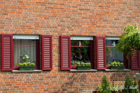 Blumenrath, Straßburger Straße, Foto-Nr. 22, 21.05.2010