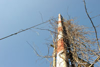 Blumenrath, Straßburger Straße, Foto-Nr. 12, 17.04.2010