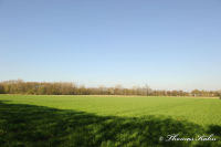 Blumenrath, Straßburger Straße, Foto-Nr. 57, 17.04.2010