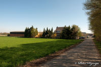 Blumenrath, Straßburger Straße, Foto-Nr. 56, 17.04.2010