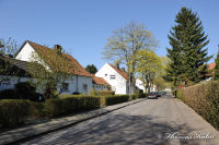 Blumenrath, Südstraße, Foto-Nr. 9, 18.04.2010