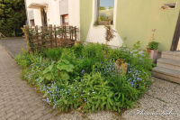 Blumenrath, Weidenhof, Foto-Nr. 21, 23.05.2010