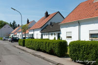 Blumenrath, Weidenhof, Foto-Nr. 7, 22.05.2010
