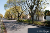 Blumenrath, Weststraße, Foto-Nr. 4, 18.04.2010