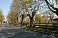 Blumenrath, Weststraße, Foto-Nr. 5, 18.04.2010