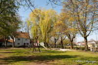 Blumenrath, Weststraße, Foto-Nr. 8, 18.04.2010