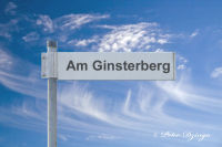 Am Ginsterberg
