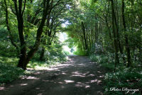 Broicher Siedlung, Blick auf die Broicher Siedlung, Foto-Nr. 5, 27.06.2010