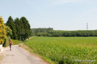Broicher Siedlung, Blick auf die Broicher Siedlung, Foto-Nr. 7, 27.06.2010